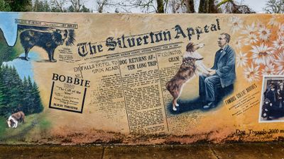 Bobbie the Wonder Dog's Home