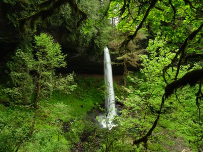 Silver Falls - Trail of Ten Falls