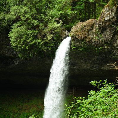 Silver Falls - Trail of Ten Falls