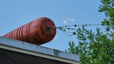 Carrot on Roof