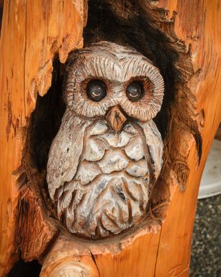 Chainsaw Carvings