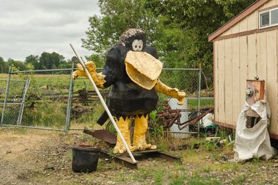 Yard Bird, Now a Farm Bird