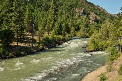 White Pass Scenic Byway