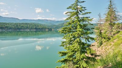 White Pass Scenic Byway