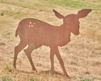 Wildlife Heritage Sculpture Corridor