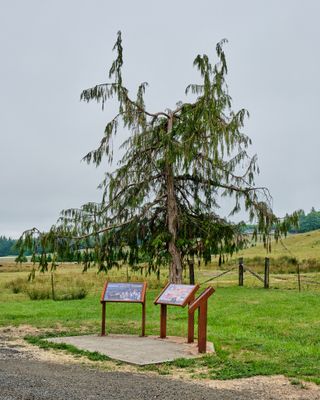 Willie Keil's Grave