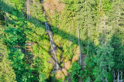 Vincent Creek Falls