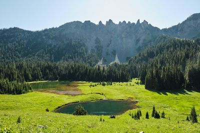 Owyhigh Lakes