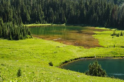 Owyhigh Lakes