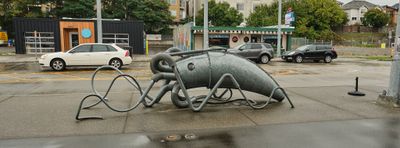 Parking Squid