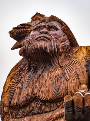 Siatco the Squatch