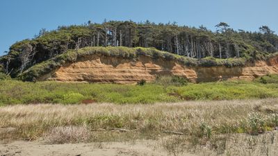 Red Cliffs of Roosevelt Beach