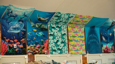 Sharky's Shark Head Entrance