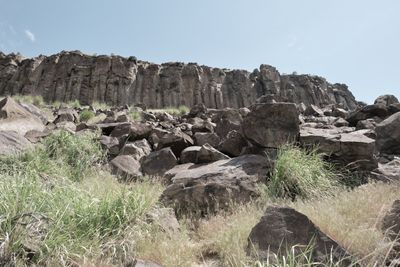 Black Cliffs