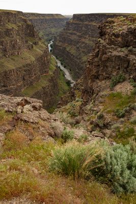 Bruneau Canyon Overlook