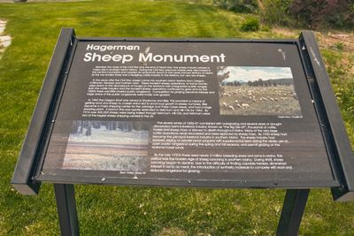 Pioneer Sheep Herder