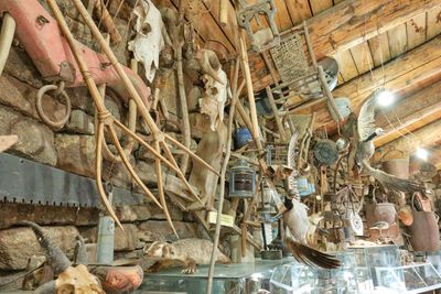 Shoshone Bird Museum of Natural History