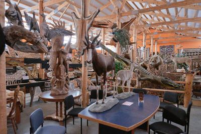 Shoshone Bird Museum of Natural History