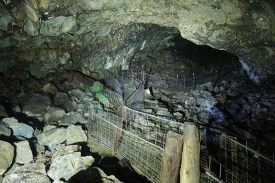 Mammoth Cave