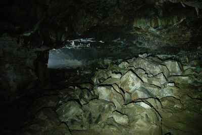 Mammoth Cave