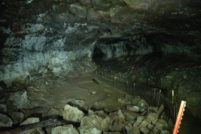 Mammoth Cave