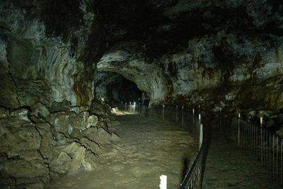 Mammoth Cave