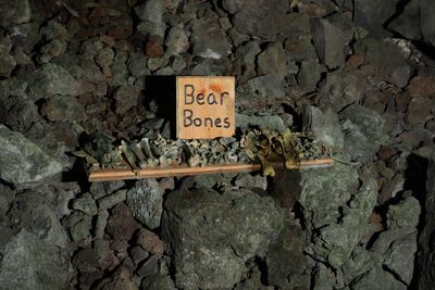 Shoshone Ice Cave