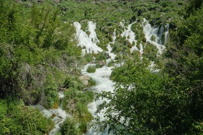 Niagara Springs