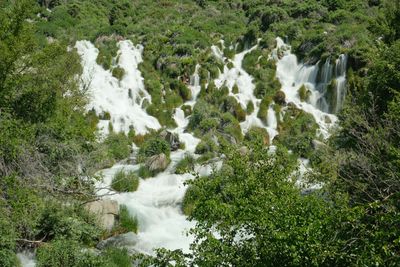 Niagara Springs