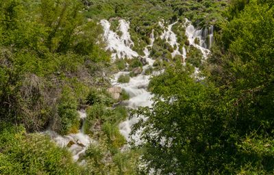 Niagara Springs