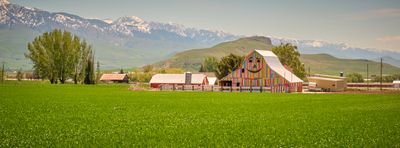 Smiling Barn