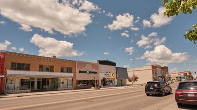 Napoleon Dynamite - Deseret Industries Thrift Shop
