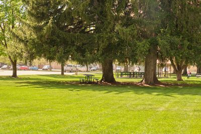 Napoleon Dynamite - Preston Community Park