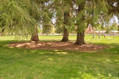 Napoleon Dynamite - Preston Community Park