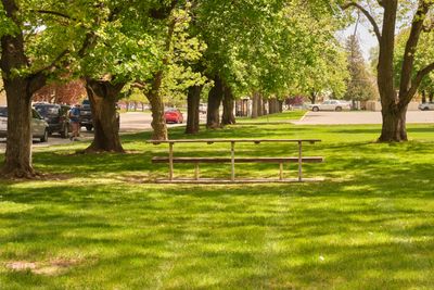 Napoleon Dynamite - Preston Community Park