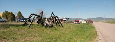 VW Beetle Spider