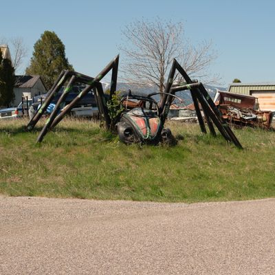 VW Beetle Spider