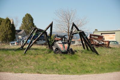 VW Beetle Spider
