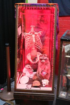 Shaddow Domain Dime Museum