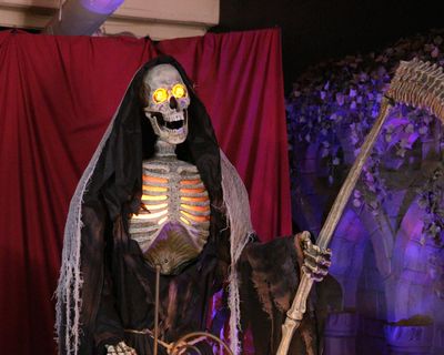 Shaddow Domain Dime Museum