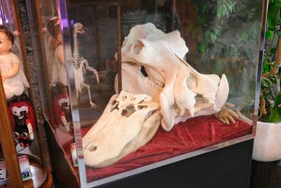 Shaddow Domain Dime Museum