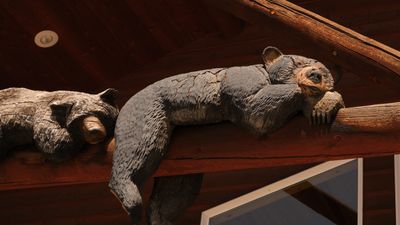 Wild West Designs - Wood Carved Animals