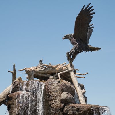 Giant Eagle Waterfall Nest