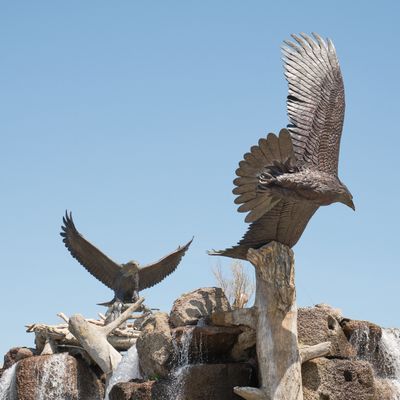 Giant Eagle Waterfall Nest