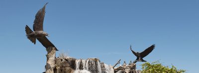 Giant Eagle Waterfall Nest