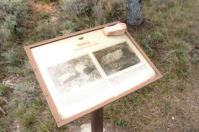 Birch Creek Charcoal Kilns