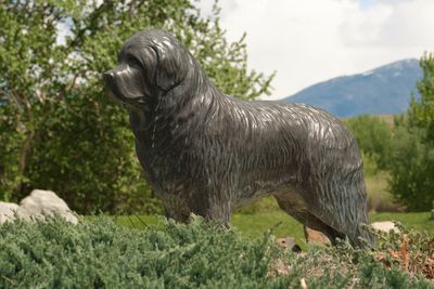 Sacajawea Statue