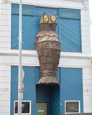Owl Club's Arrow Riddled Owl