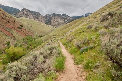 Goldbug Hot Springs