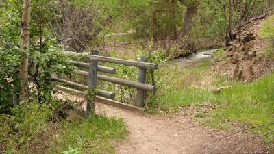 Goldbug Hot Springs